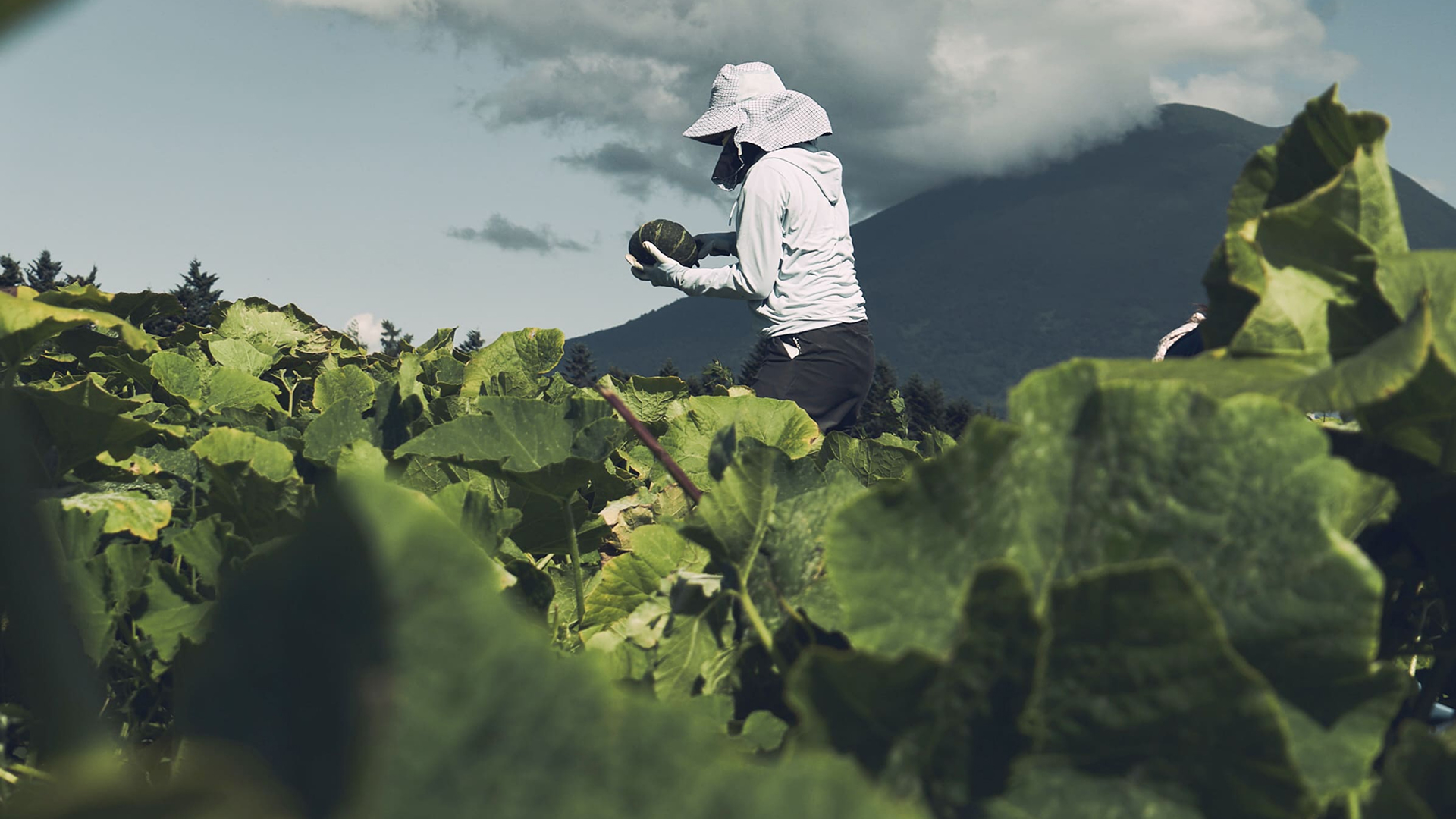 メインビジュアル