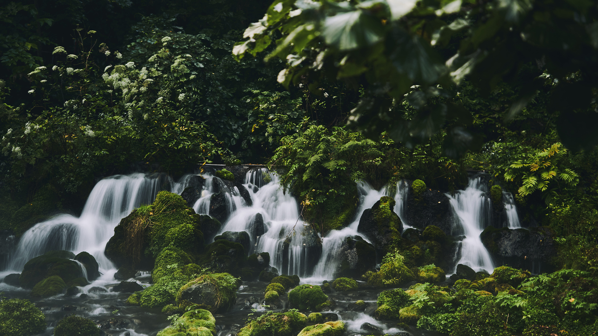 メインビジュアル