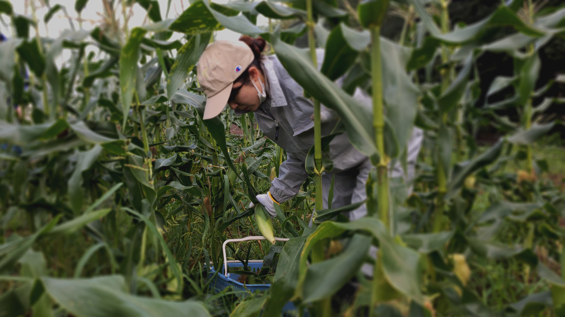 メインビジュアル